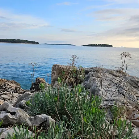 Apartnent Zorka1 Apartament Primošten